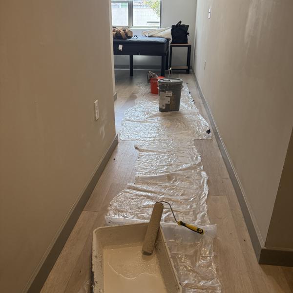 Capital Elite Painting project